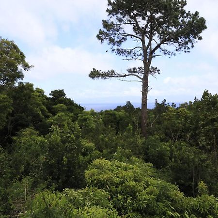 Vila Casas Do Caminho Novo São Roque do Pico Exteriér fotografie